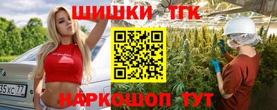 гидра Брянск