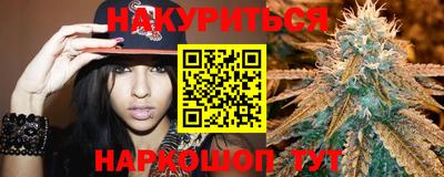 гидра Брянск