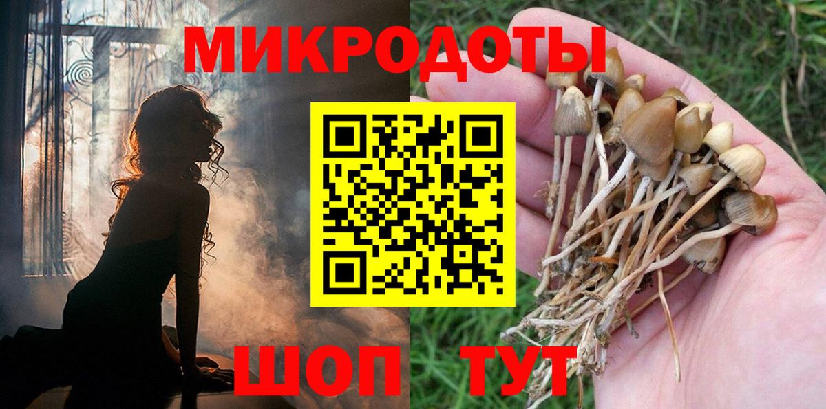 Галлюциногенные грибы Cubensis Белорецк